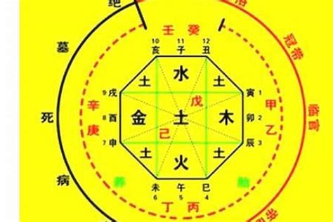 喜用神为金|八字入门基础 第六篇 如何判断八字喜用神